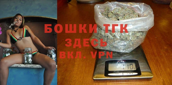 прущие крисы Горняк