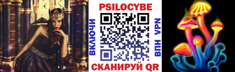 купить наркотики цена  Заводоуковск  Галлюциногенные грибы прущие грибы 